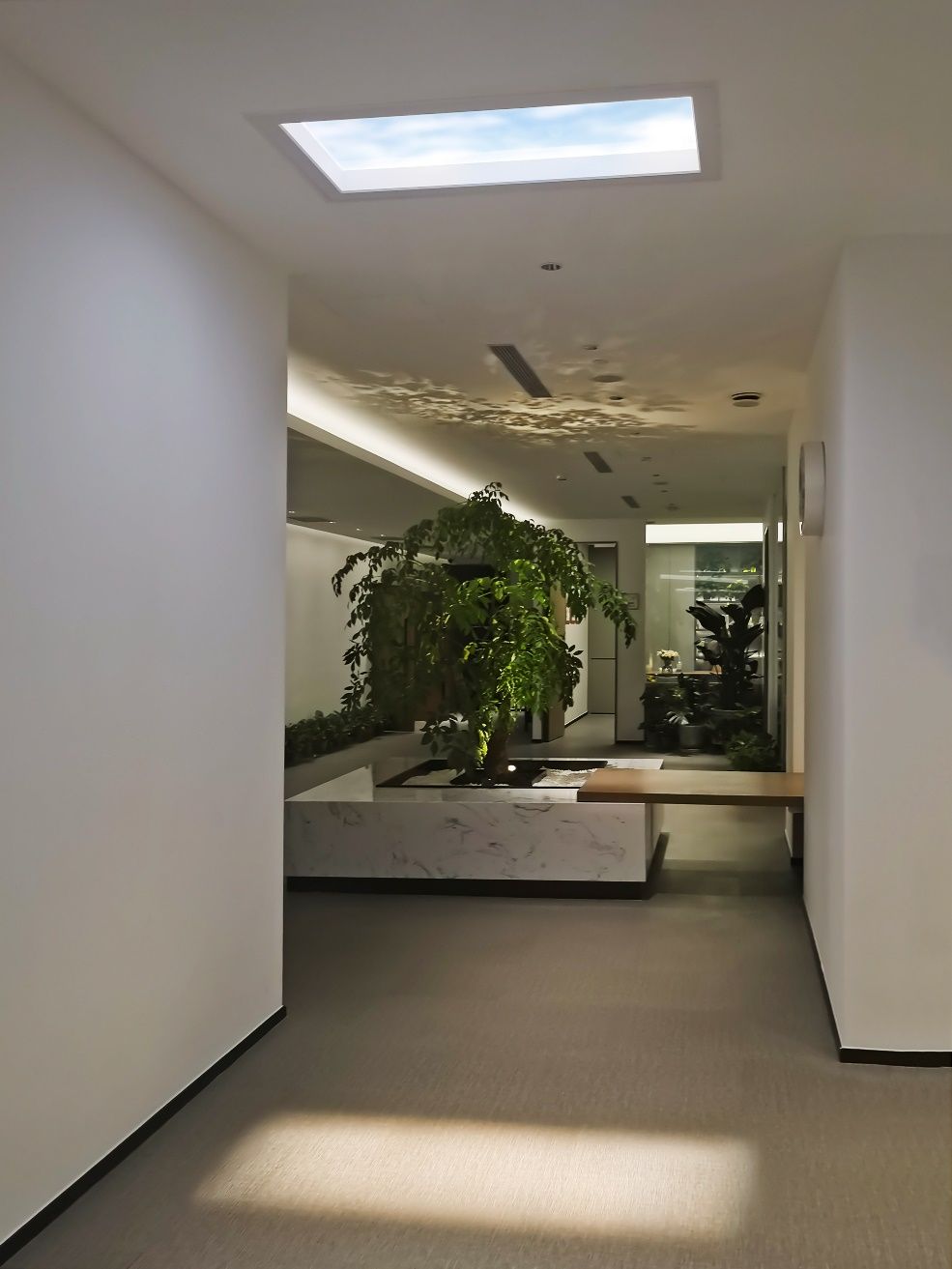 Static cloud skylight above a clinic corridor, next to a wooden display shelf bearing a Chinese calligraphy sign, bringing daylight into an internal circulation space.
