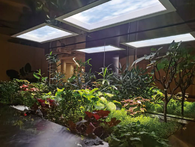 Sollux skylight bringing daylight into an indoor garden