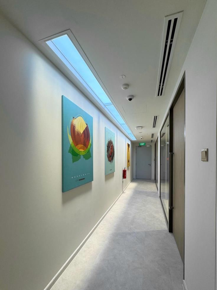 SOL-1503 1500x300mm blue sky linear skylights wall-washing framed artwork along an office gallery corridor, adding a bright accent feature to the space.
