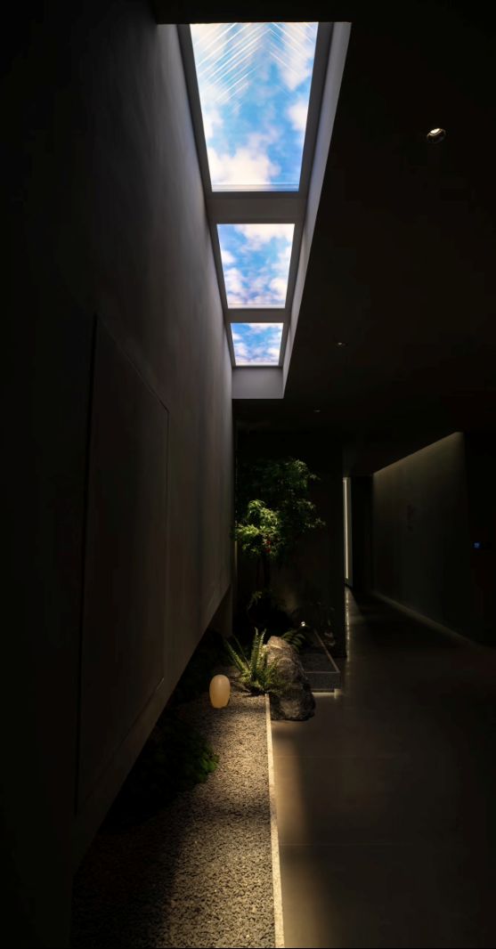Two narrow blue sky skylights lighting an internal garden corridor, connecting the home's interior to a planted courtyard below.