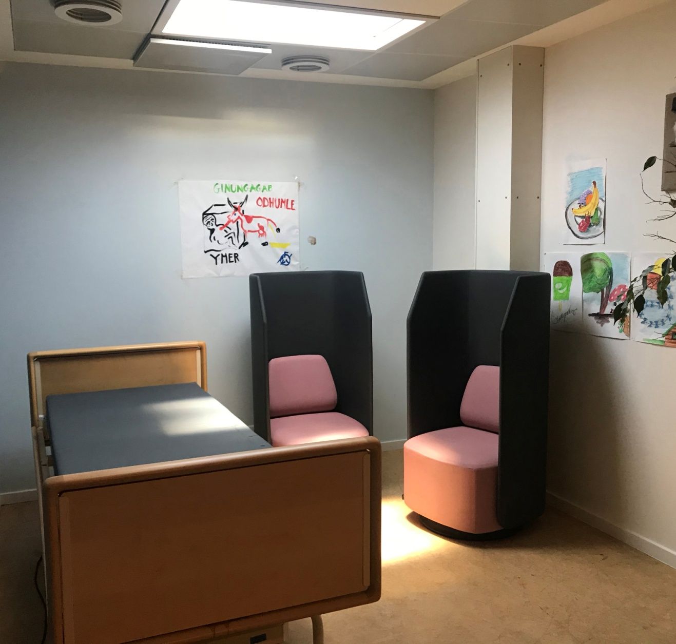 Artificial skylight in a mental health patient room
