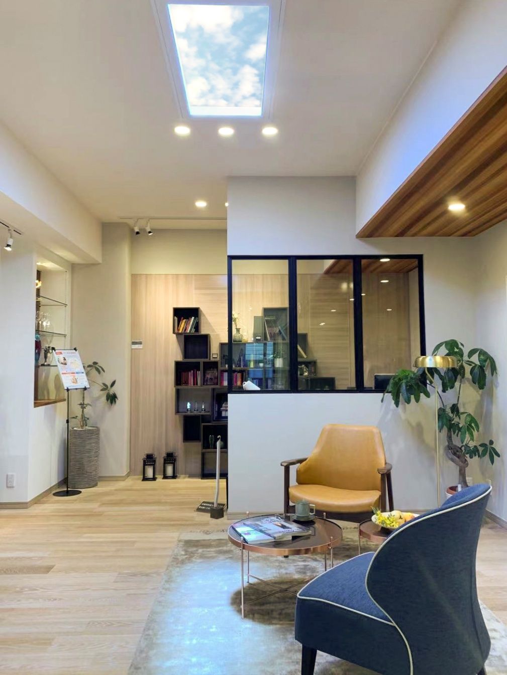 Static cloud skylight above a compact living room lined with bookshelves, giving the space daylight without a large window.
