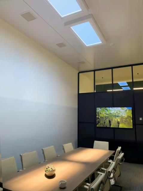 Two static cloud skylights above a glass-walled boardroom, adding natural-feeling light to an internal meeting room screened off from the main office.