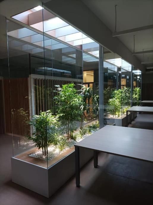 Artificial skylights above a library and shared work area