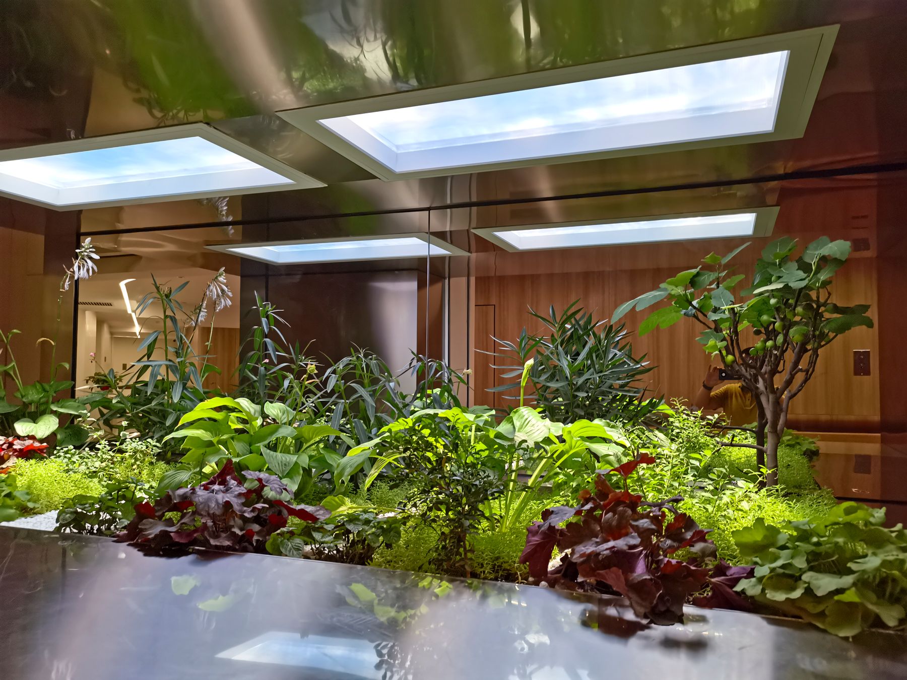 Three suspended static cloud skylights above an indoor planting atrium at a medical clinic, helping sustain the medicinal herb garden below while giving the space a bright, natural feel.