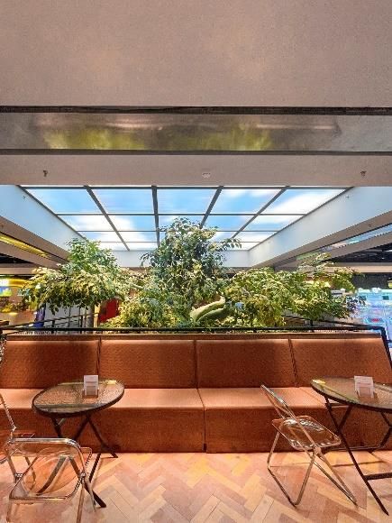 A grid of 25 x SOL-1212 1200x1200mm static cloud skylights installed above a large feature tree providing realistic skylighting and sunlight effects. Each panel custom made to achieve a large sky effect to maximise realistic detail and light output. Also see 1212 project videos.